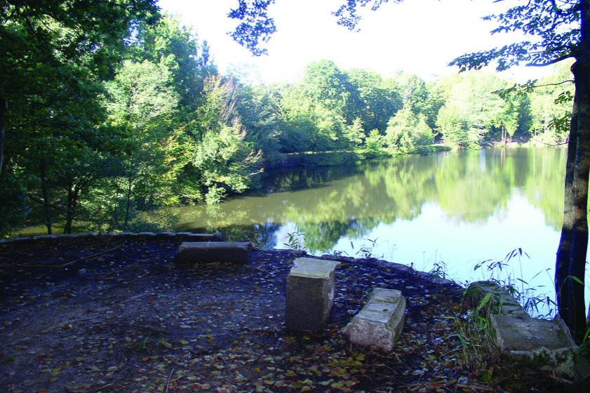 Le belvédère après les travaux de nettoiement. 2007, Ville de Tarnos